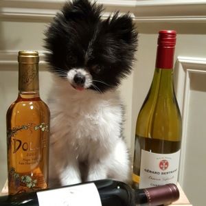 Meet your Posher, Furby